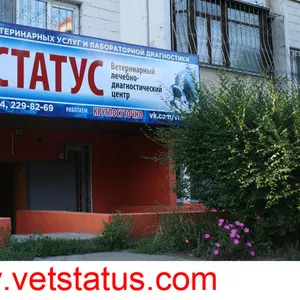 Ветеринарная клиника СТАТУС Воронеж