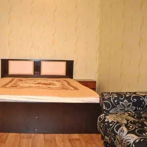 Двухкомнатная квартира Эконом класса посуточно в Воронеже.